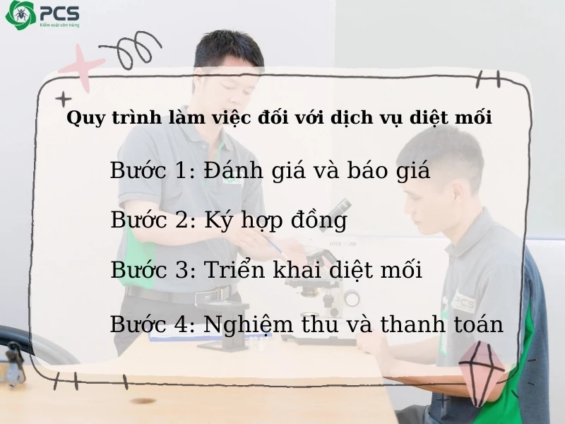 Dịch vụ diệt mối tại Hà Nội